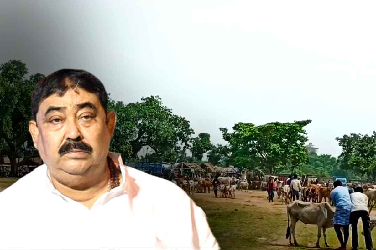 গরুপাচারের অভিযোগে গ্রেপ্তার হন অনুব্রত, ইলামবাজারের সেই হাটেই শুরু কড়া নজরদারি