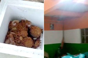 আরামবাগে তৃণমূলের পার্টি অফিসে বোমা! ‘ভোটের আগেই মজুত ছিল’, বলছেন স্থানীয়রা