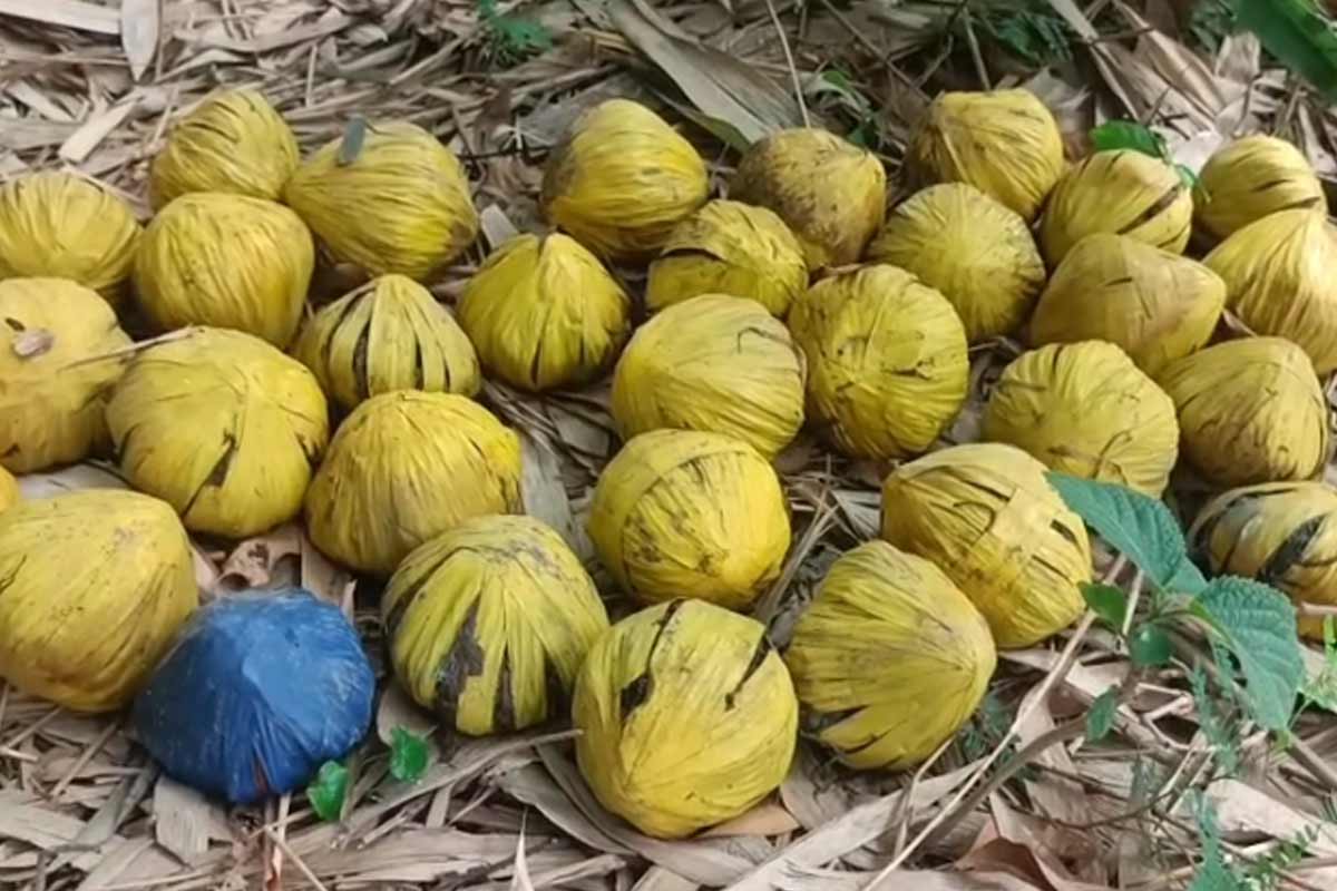 বারুদের স্তূপ বীরভূমে! মল্লারপুরে বিপুল পরিমাণ তাজা বোমা মজুতের নেপথ্যে কারা?