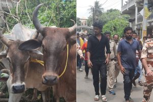 কাটোয়ায় ভাগীরথী পেরিয়ে গরু পাচারের ছক! ৪ জনকে আটক করল পুলিশ