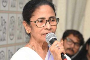 ‘বেরলেই জনতা মারবে’, আতঙ্কে মমতার ডাকেও কালীঘাট-বিমুখ জয়ী তৃণমূল বিধায়করা!