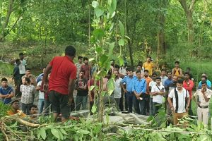 নির্বাচনী পর্যবেক্ষকের গাড়ির ধাক্কায় টোটো চালকের মৃত্যু, বালুরঘাটে উত্তেজনা
