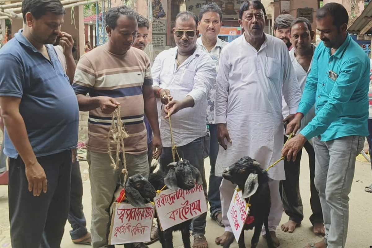 নেতাদের ‘কলকাঠি’তে এবার মেলেনি টিকিট, প্রার্থীদের পরাজয়ে ছাগল উৎসর্গ করে পুজো প্রাক্তন বিধায়কের