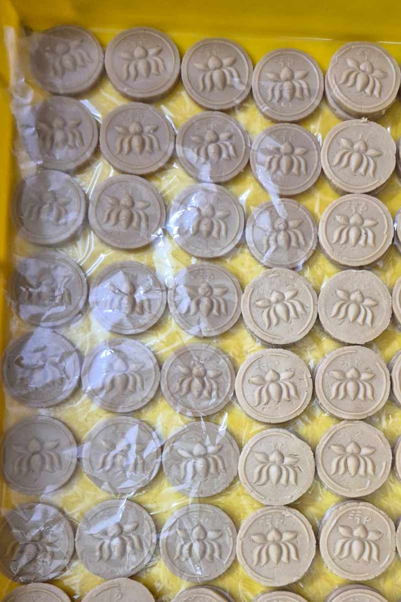 Padma Sandesh at the center of attraction before the West Bengal CM Oath Ceremony