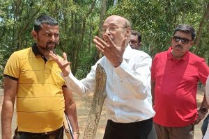 সোনাঝুরিতে কাটা পড়ছে একের পর এক গাছ! ‘আত্মহত্যার শামিল’, বলছেন ‘ব্যথিত’ সুভাষ দত্ত