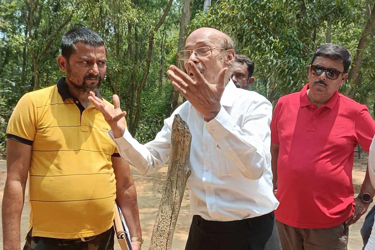 সোনাঝুরিতে কাটা পড়ছে একের পর এক গাছ! ‘আত্মহত্যার শামিল’, বলছেন ‘ব্যথিত’ সুভাষ দত্ত
