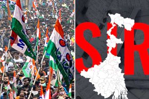 সবচেয়ে বেশি নাম বাতিল ১৩ আসনেই জিতেছে তৃণমূল, ভোটের ফল ভাঙল এসআইআর মিথ