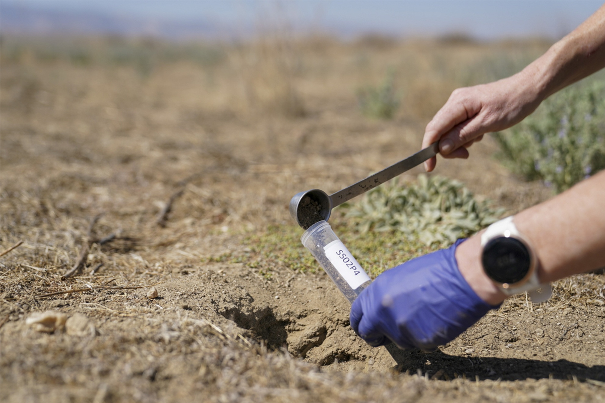 valley fever death indian techie california risk explained