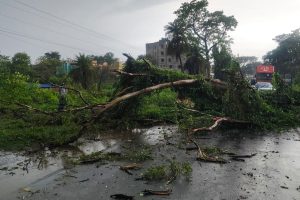 টর্নেডোয় লণ্ডভণ্ড সন্দেশখালির একাধিক গ্রাম, গাছ উপড়ে বন্ধ রাজ্য সড়ক! বজ্রাঘাতে মৃত্যু মঙ্গলকোটে