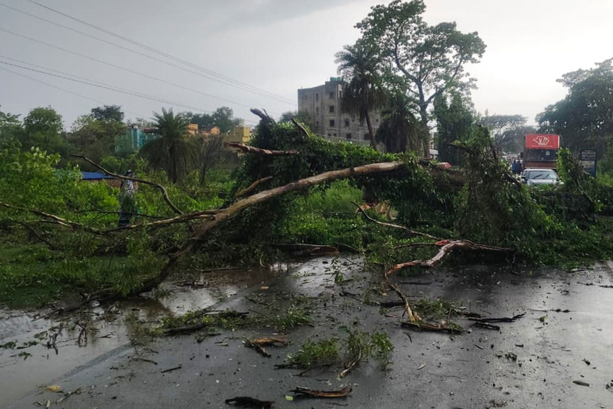 টর্নেডোয় লণ্ডভণ্ড সন্দেশখালির একাধিক গ্রাম, গাছ উপড়ে বন্ধ রাজ্য সড়ক! বজ্রাঘাতে মৃত্যু মঙ্গলকোটে
