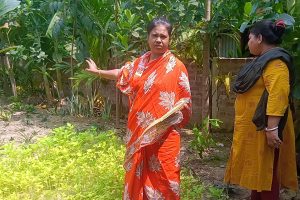 বিজেপি করার অপরাধে ৫ বছর আগে বাড়িতে বুলডোজার! পালাবদলে ঘরে ফিরল গাইঘাটার পরিবার