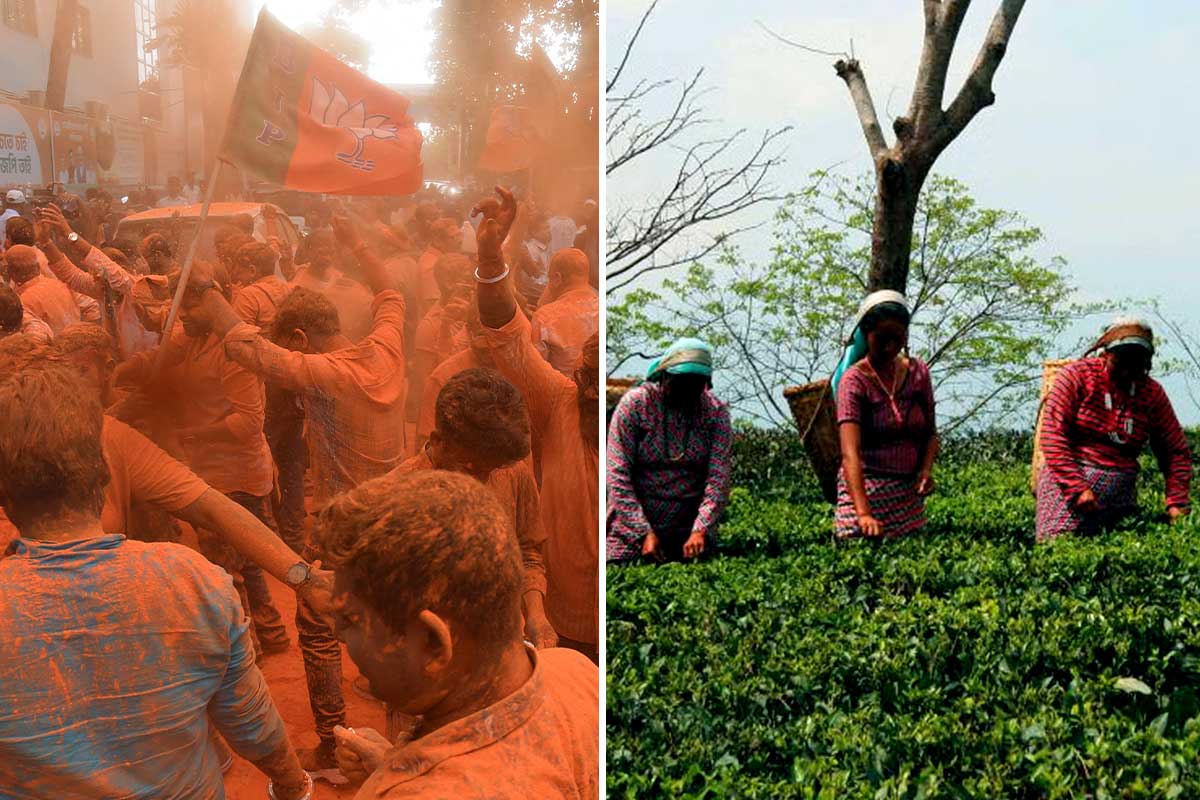 চা বলয়ের রং গেরুয়া, কোন সমীকরণে তরাই-ডুয়ার্সে বাড়ল বিজেপির ভোটব্যাঙ্ক?
