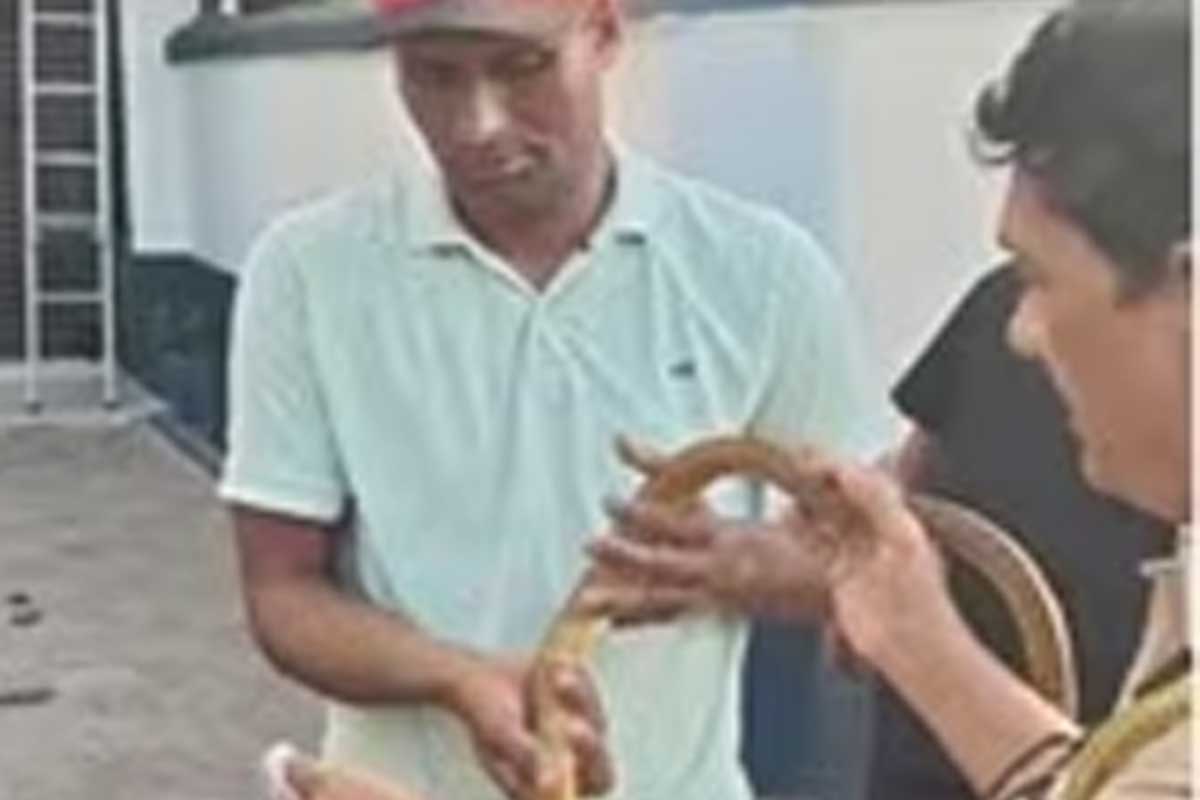 Salman Khan issues clarification after cryptic shirtless post and snake rescued from Galaxy Apartments.