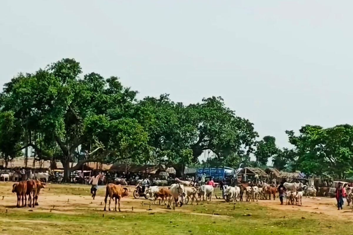 Illambazar Market which led to anubrata Mandal arrest, under scanner
