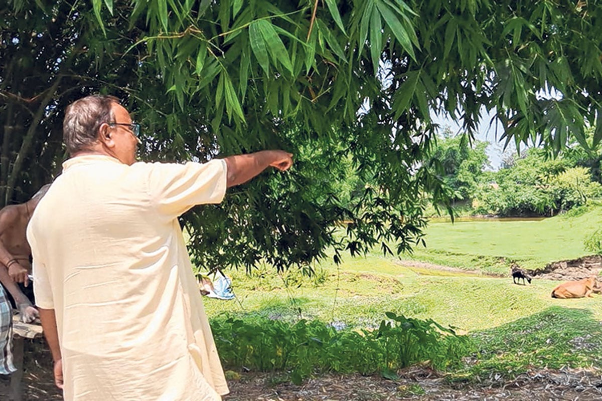 এবার ফুটবে বিয়ের ফুল! ভারত-বাংলাদেশ সীমান্তে উচ্ছ্বাস জমিদানে