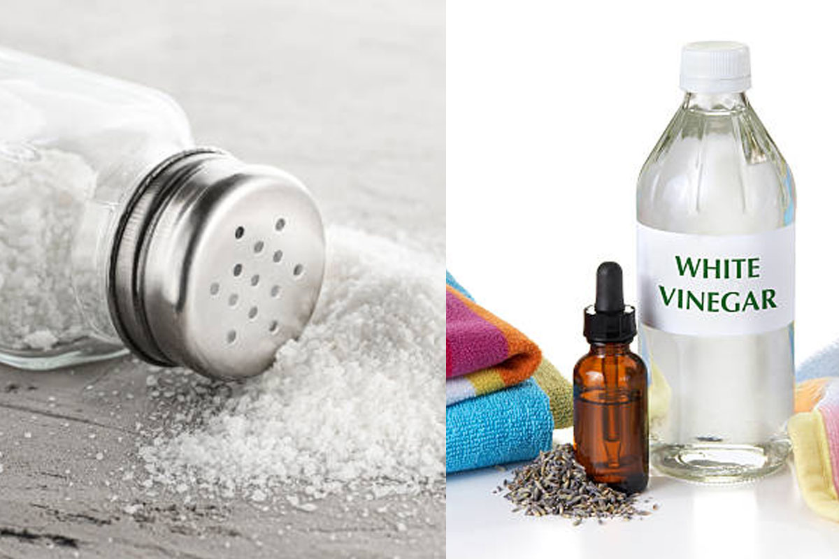 4 easy hacks to keep away ants from home