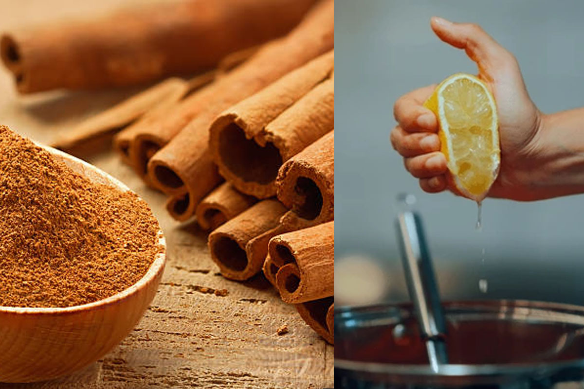 4 easy hacks to keep away ants from home