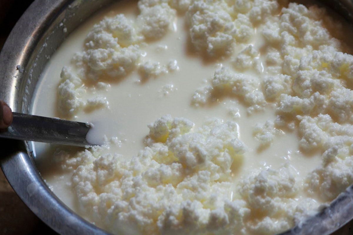 3 common mistakes why milk curdles during boiling