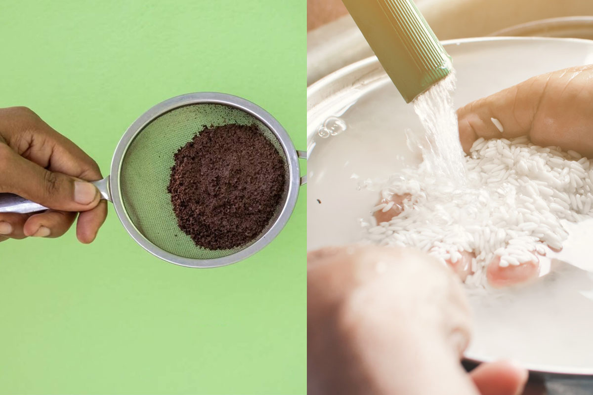 5 ideas to reuse kitchen waste as natural fertilizer for garden