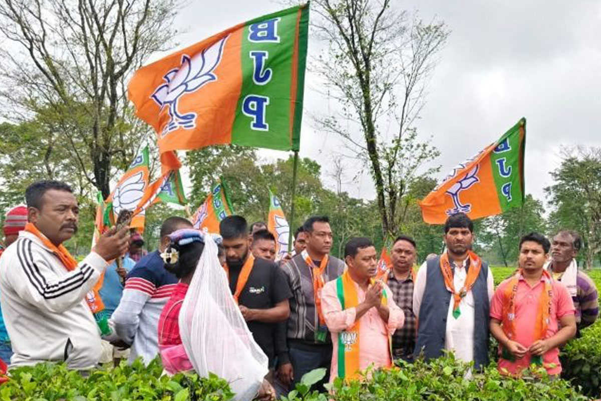 West Bengal Assembly Election Result 2026: BJP has increased its seat in Tea Belt