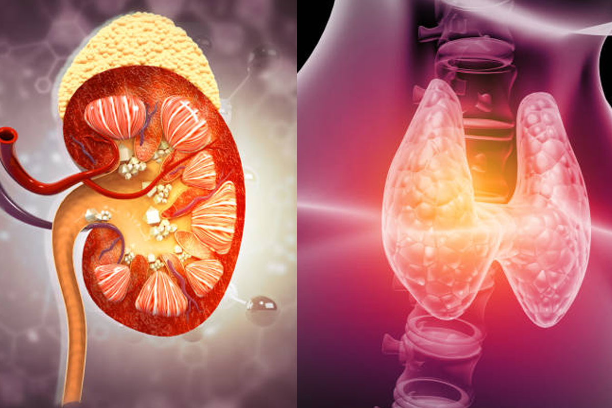 these 5 people should never eat papaya due to hidden risk