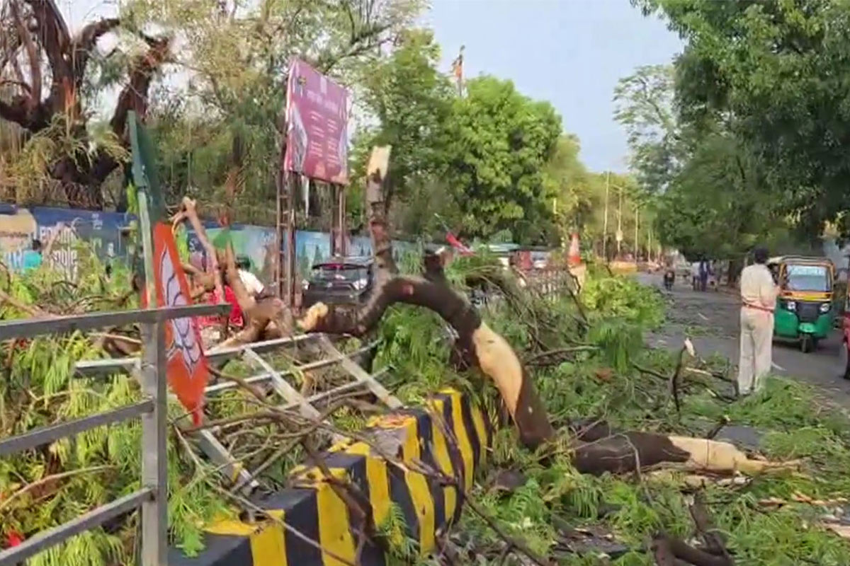 পাটনায় দুর্যোগ! ঝড়ের তাণ্ডবে মৃত ৩, বিপর্যস্ত জনজীবন