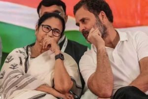 ১০০ আসনে ভোটচুরি! মমতার অভিযোগকে সমর্থন রাহুলের, ফোনে পাশে থাকার বার্তা