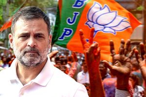 ‘প্রতি ৬ জনের একজন ঘুসপেটিয়া’, বিজেপির বঙ্গ জয়ের পর আইনসভায় ‘অনুপ্রবেশকারী’ দেখছেন রাহুল