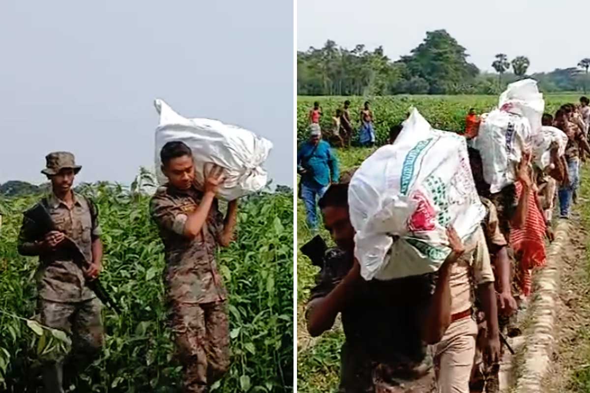 পাটখেতে ‘গুপ্তধন’ তৃণমূল নেতার! বস্তায় কোটি কোটি টাকা, চোখ কপালে পুলিশের