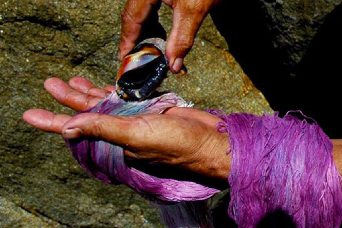 tyrian purple dye found in 1700 years old roman coffin expensive than gold