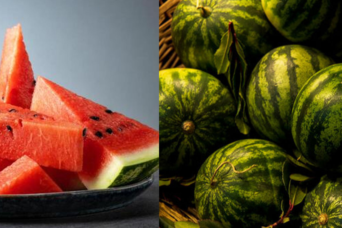 3 ways to store watermelons throughout summer and enjoy for long