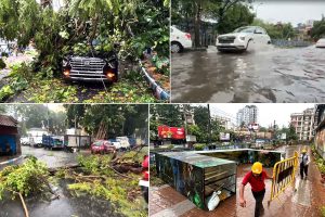 গাছের তলায় গাড়ি, আচমকা ঝড়-বৃষ্টিতে ভয়ংকর কলকাতা!