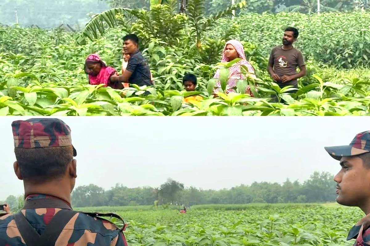 ১২ বাংলাদেশিকে ভারতে ঢোকানোর চেষ্টা বিজিবির! অনুপ্রবেশ রুখতে কড়া নজরদারি বিএসএফের