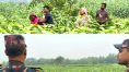 ১২ বাংলাদেশিকে ভারতে ঢোকানোর চেষ্টা বিজিবির! অনুপ্রবেশ রুখতে কড়া নজরদারি বিএসএফের
