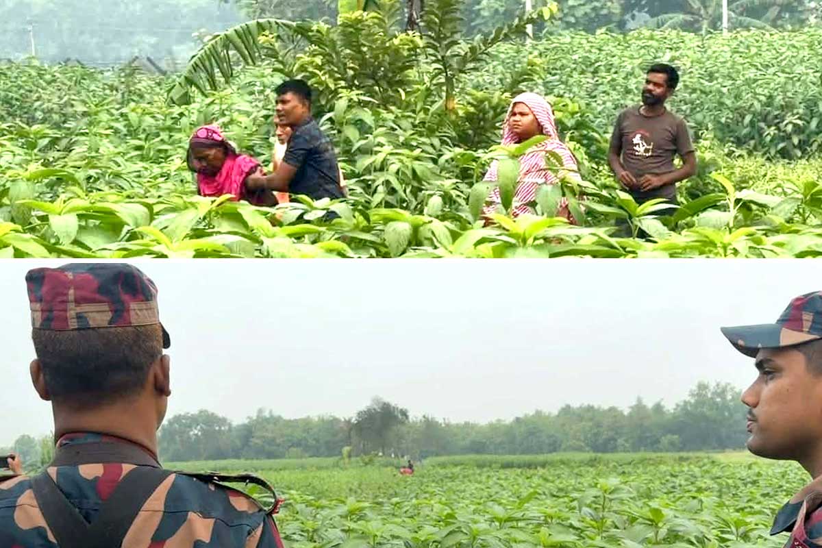 ১২ বাংলাদেশিকে ভারতে ঢোকানোর চেষ্টা বিজিবির! অনুপ্রবেশ রুখতে কড়া নজরদারি বিএসএফের
