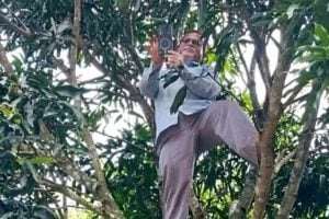 অনলাইনে দিতেই হবে হাজিরা, বাংলাদেশে নেটওয়ার্ক পেতে গাছে চড়ে বসলেন প্রধান শিক্ষক