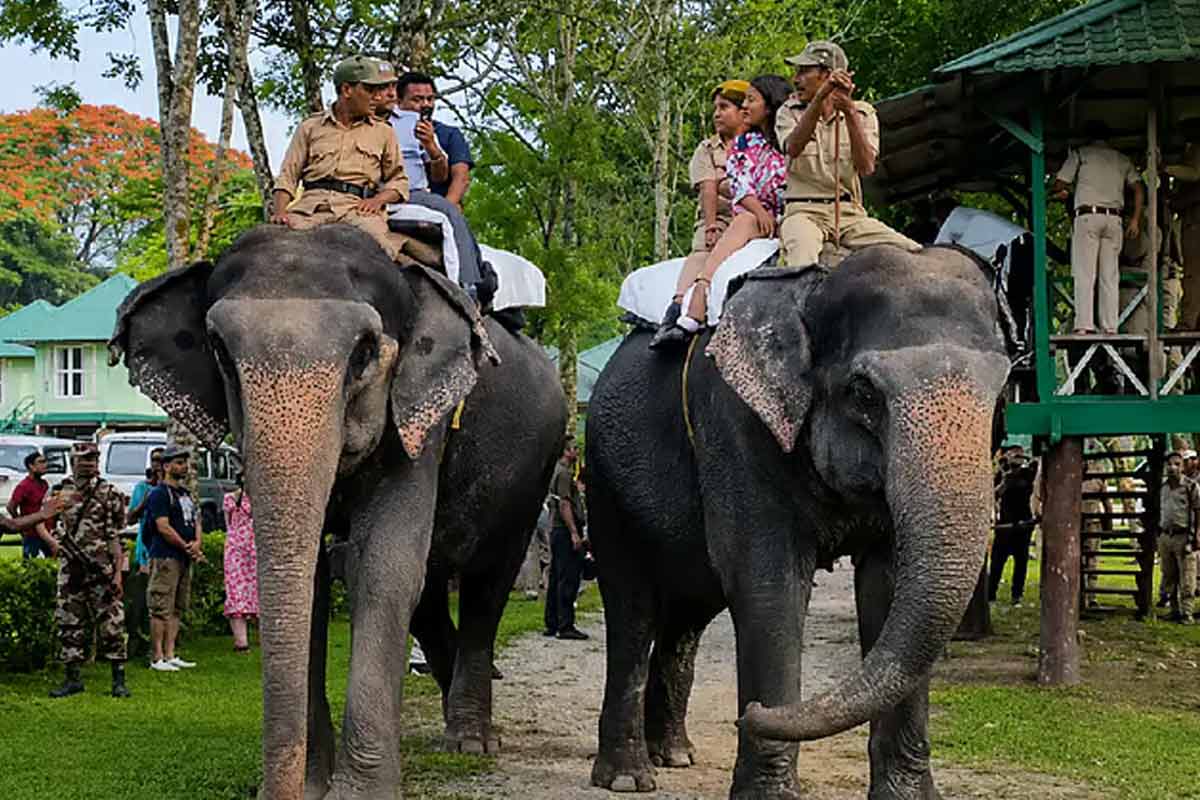 Minister Dilip Ghosh and his wife enjoy elephant safari in Dooars