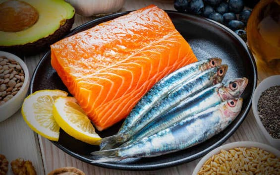 Fatty-Fish