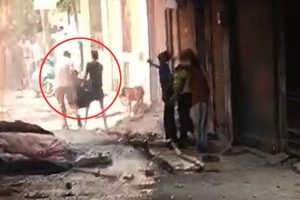 শরীর জ্বলছে আগুনে, বাঁচার শেষ চেষ্টায় দিল্লির হোটেল থেকে ঝাঁপ ২ মহিলার! প্রকাশ্যে ভিডিও