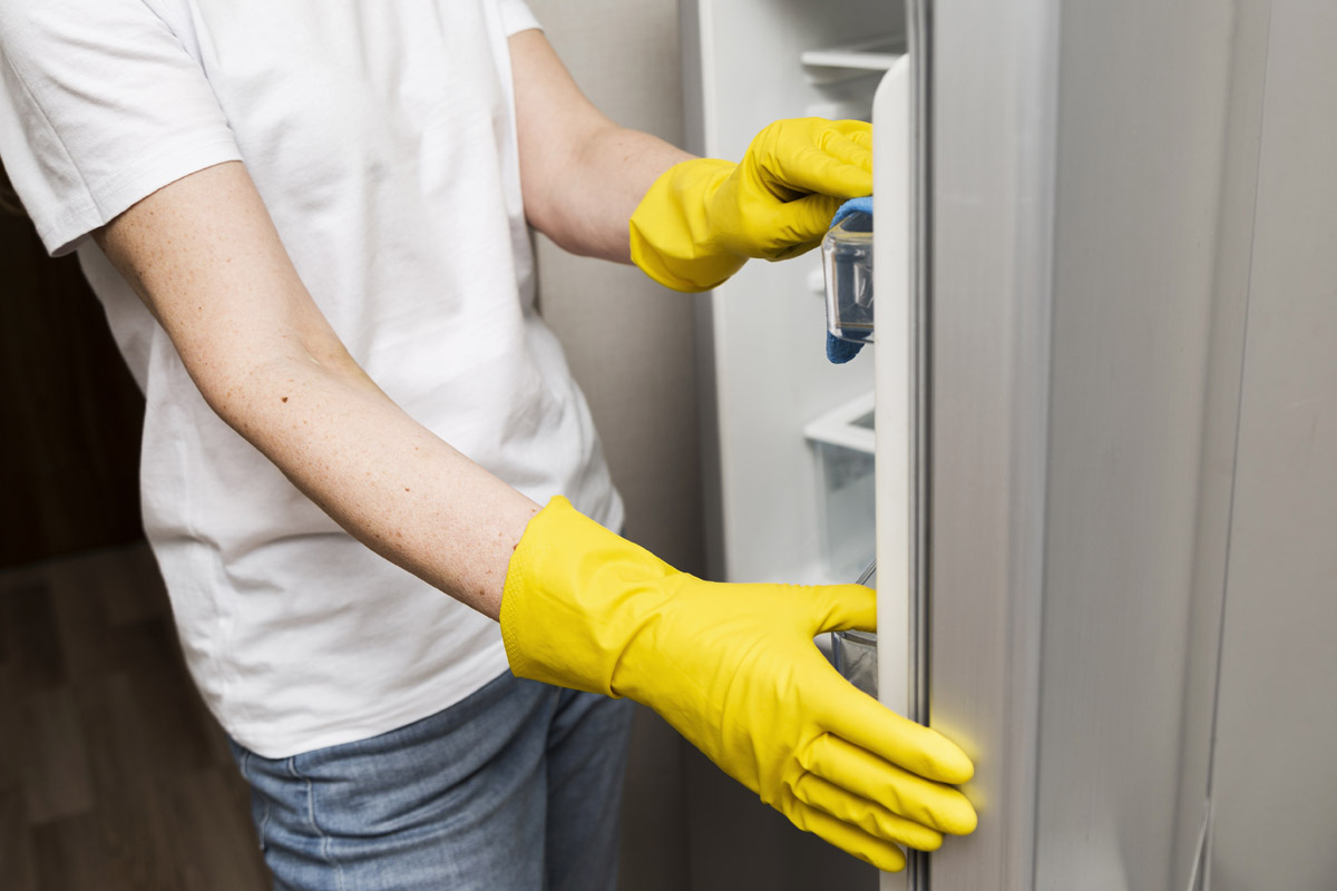 How to Clean Refrigerator Rubber Gasket Easily