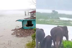 হড়পা বানের আশঙ্কা বাড়ছে উত্তরে, অতি ভারী বৃষ্টিতে জারি লাল সতর্কতা