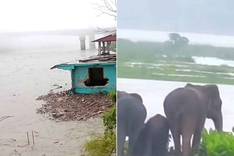 হড়পা বানের আশঙ্কা বাড়ছে উত্তরে, অতি ভারী বৃষ্টিতে জারি লাল সতর্কতা