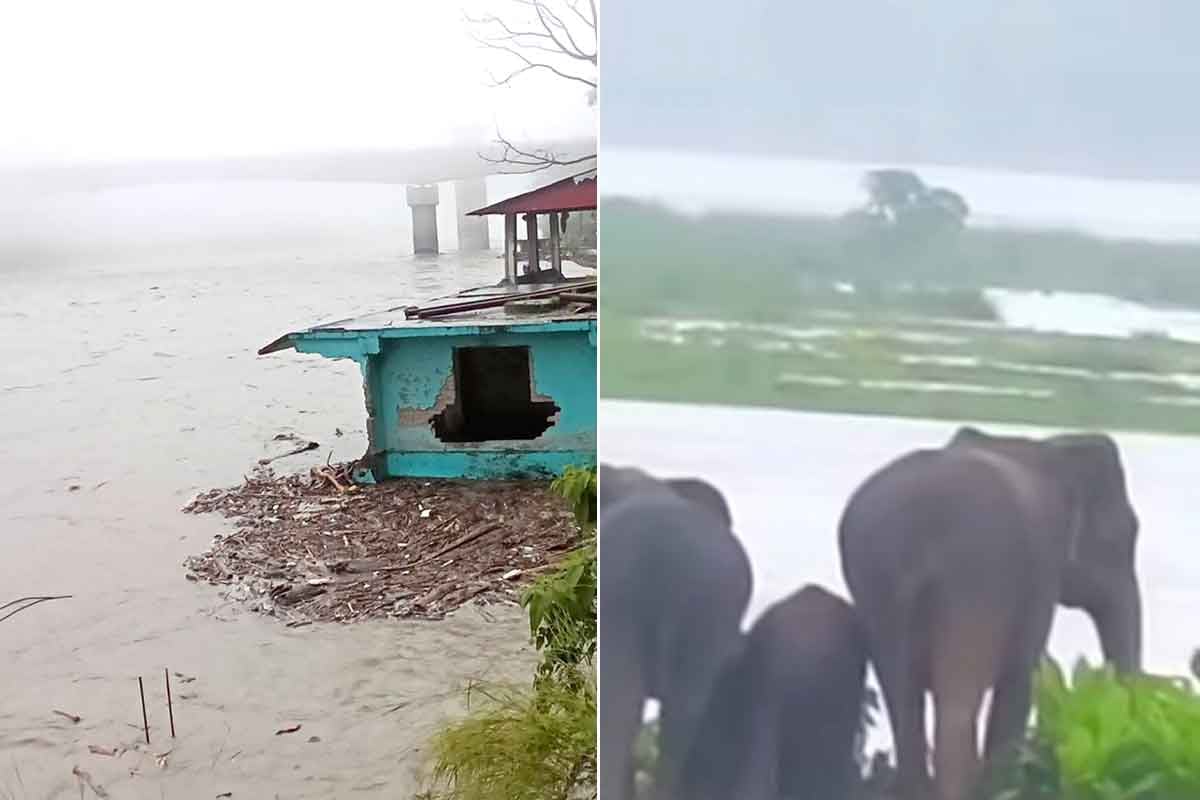 হড়পা বানের আশঙ্কা বাড়ছে উত্তরে, অতি ভারী বৃষ্টিতে জারি লাল সতর্কতা