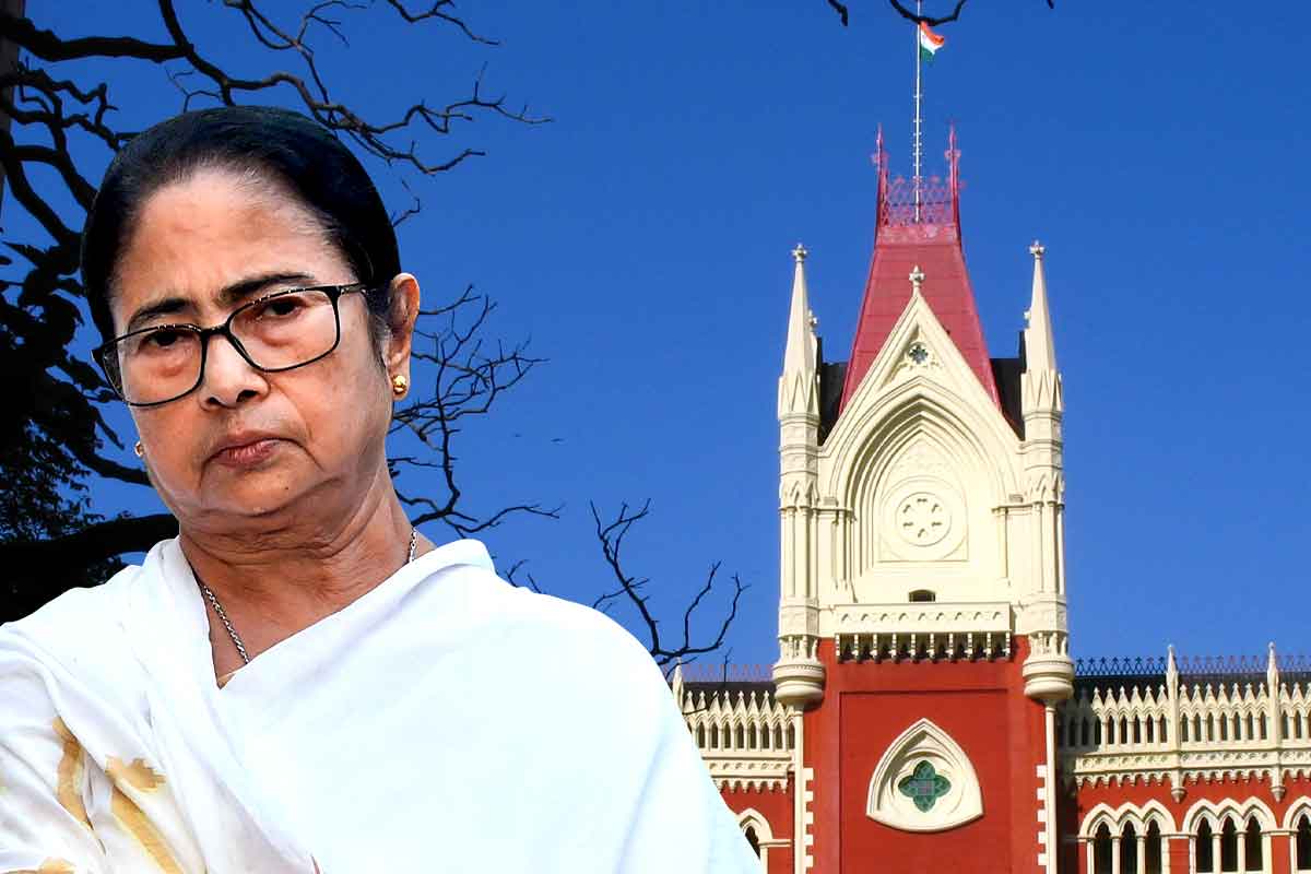 কী কারণে আচমকা বন্ধ ৩ অ্যাকাউন্ট? প্রশ্ন তুলে কলকাতা হাই কোর্টে ‘কালীঘাট তৃণমূল’