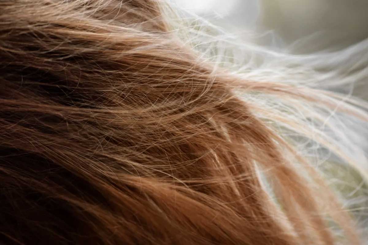 Hair-2