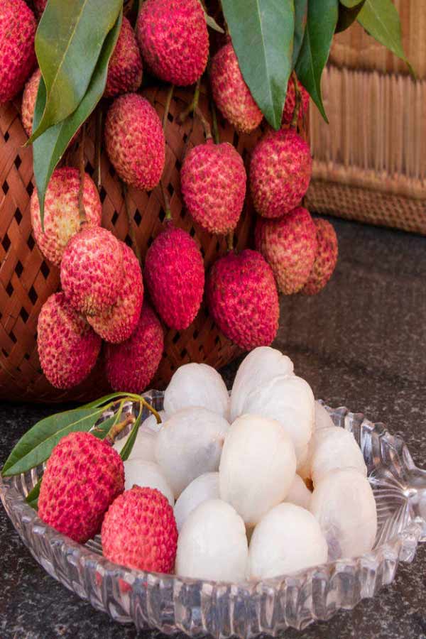 Litchi-2