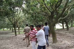 আম ভেবে বোমায় হাত! ইংরেজবাজারে বিস্ফোরণে জখম ৩ শিশু, গুরুতর আহত ১