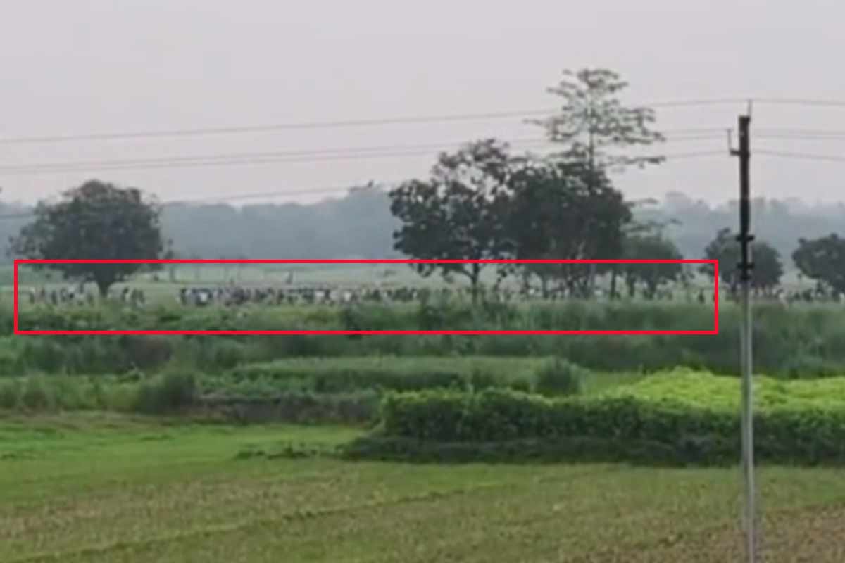 বাংলা থেকে পুশব্যাক, বাংলাদেশেও ঘাড়ধাক্কা! মালদহের কাঁটাতারহীন সীমান্তে তুমুল উত্তেজনা
