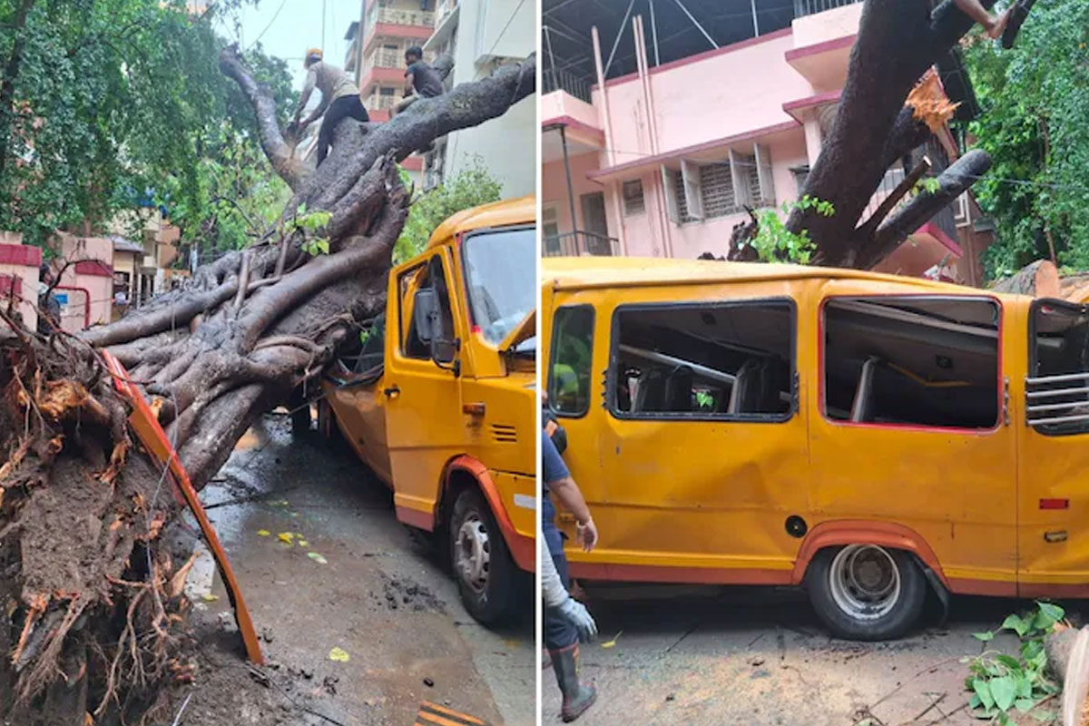 মুম্বইয়ে স্কুলের বাসের উপর ভেঙে পড়ল গাছ, মৃত্যু এক পড়ুয়ার, হাসপাতালে গুরুতর আহত ৫