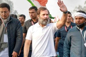‘যুবসমাজের পাশে’, বার্তা নিয়ে ভারত জোড়োর ধাঁচে ফের দেশজুড়ে বড় অভিযানে রাহুল